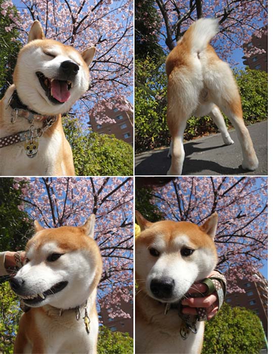 5日ブログ7.jpg
