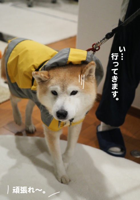 7日ブログ１０