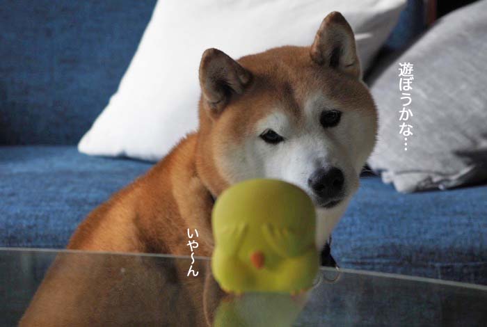15日夜ブログ３