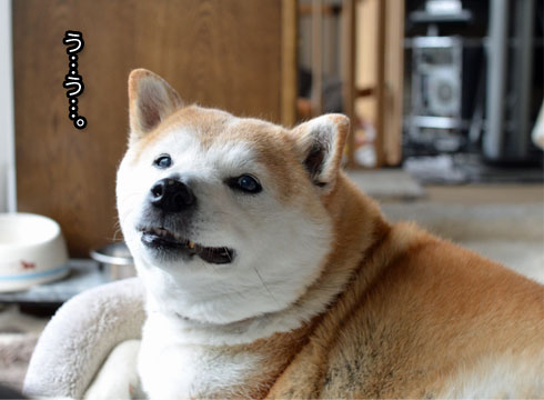 17日ブログ11.jpg