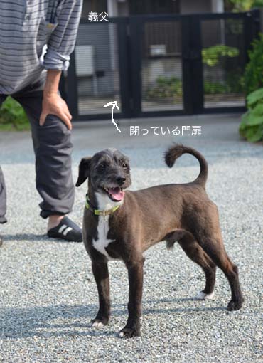 30日ブログ4.jpg