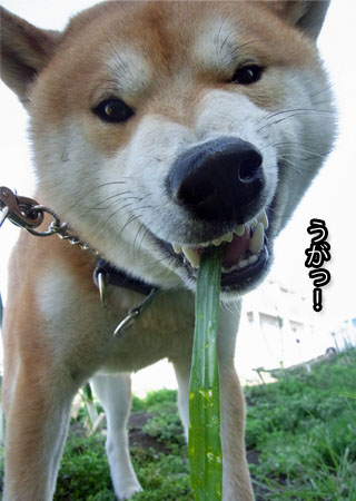 23日ブログ6.jpg