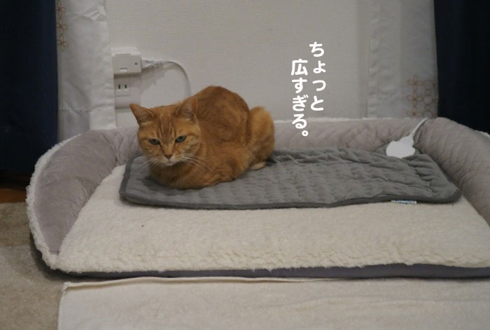 26日夕ブログ１１