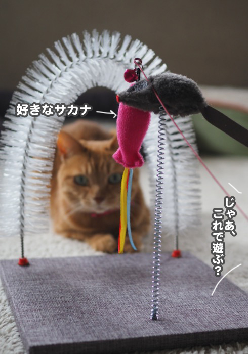 9日夕ブログ１１