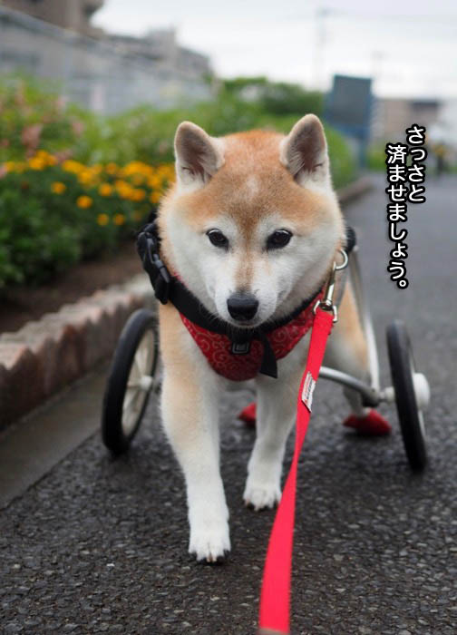 5日ブログ３