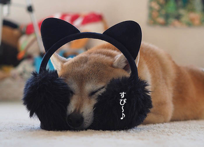 15日夜ブログ７