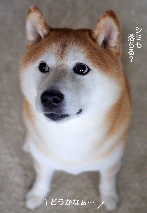 28日夕ブログ７