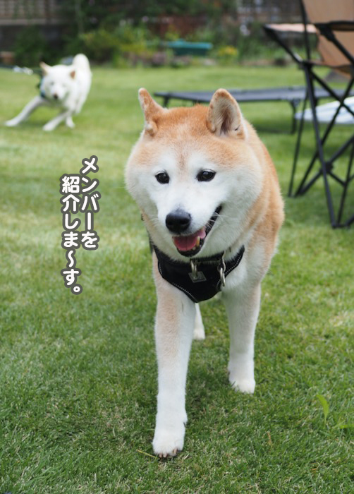 7日夕ブログ２