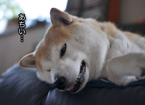 24日ブログ3.jpg