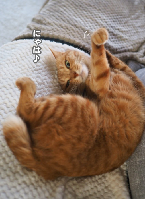 19日夕ブログ２