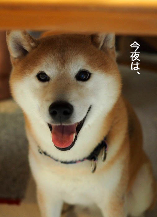 17日夜ブログ３