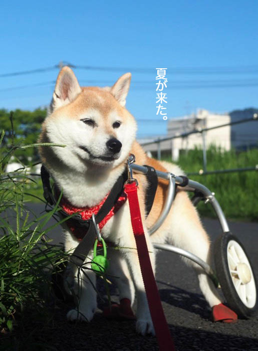 17日ブログ４