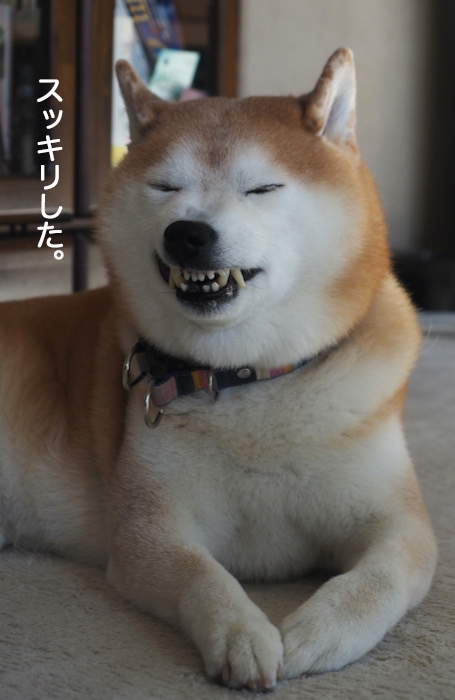 29日夜ブログ９