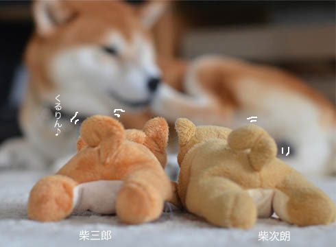 30日ブログ3.jpg