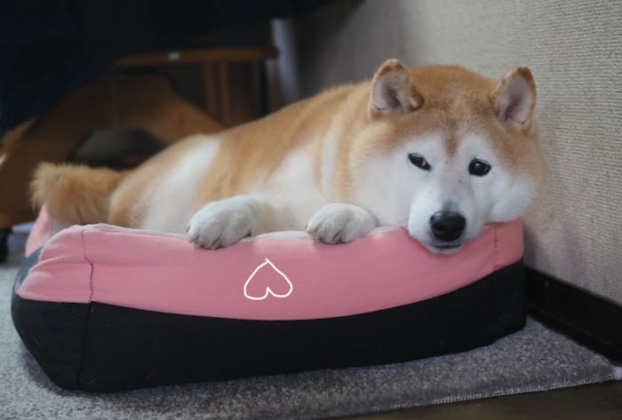 13日ブログ１