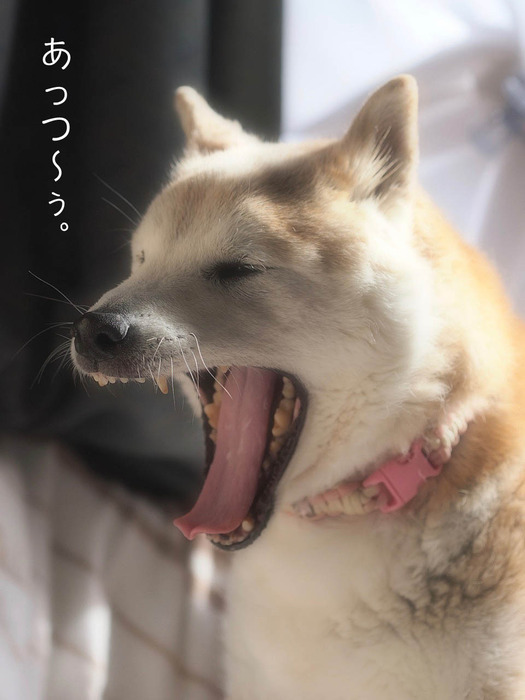 23日ブログ5