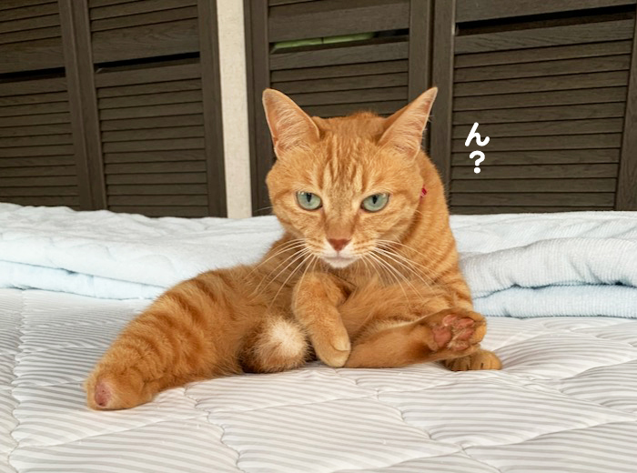 27日夕ブログ７