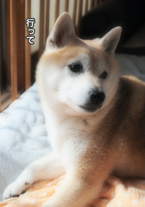 15日夜ブログ２