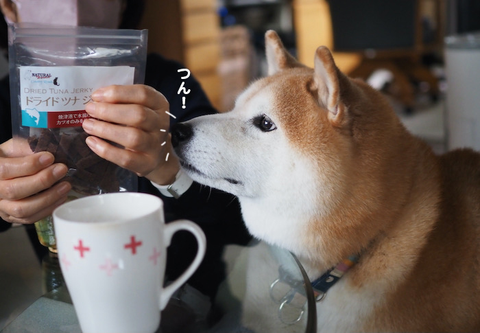 26日ブログ４