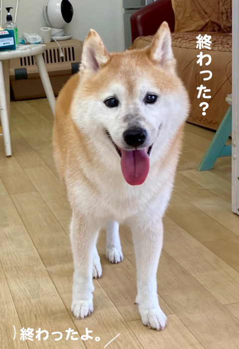 13日の夕ブログ２
