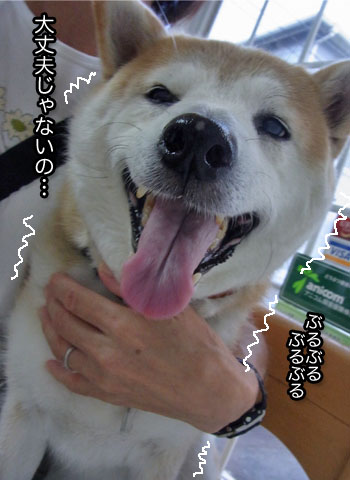 30日ブログ4.jpg