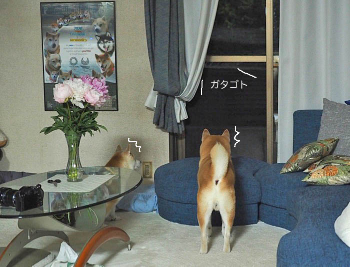 16日午後ブログ１