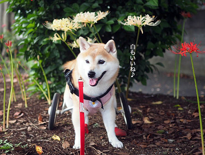 18日ブログ３