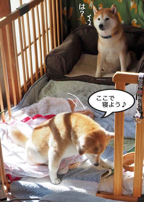 9日夜ブログ５