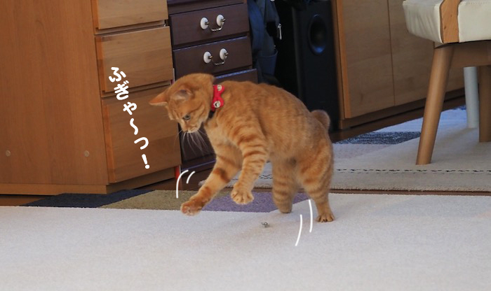 3日ブログ６