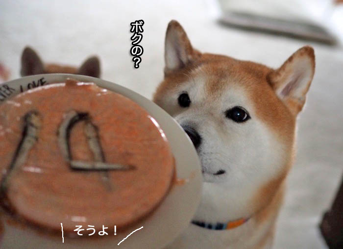 29日夜ブログ５
