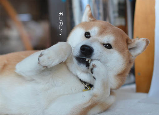22日ブログ5.jpg