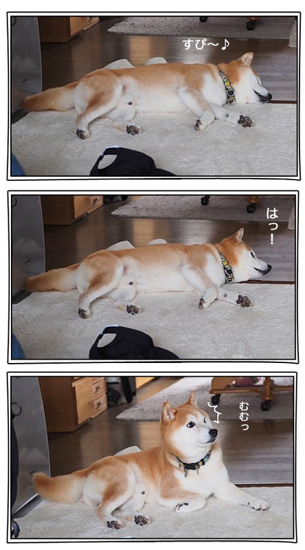 19日ブログ４