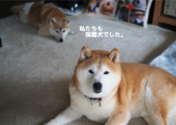 8日昼のブログ２