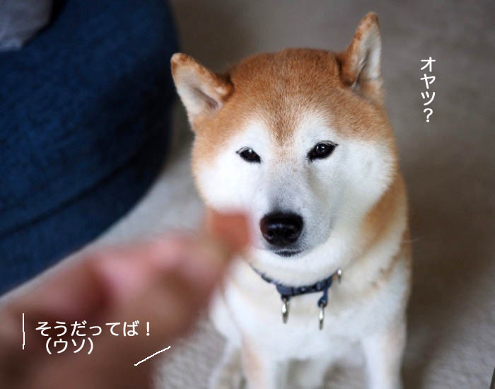 10日ブログ６