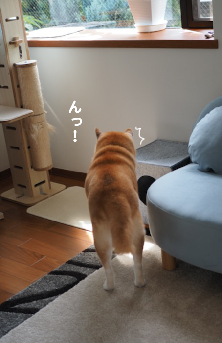 ３日夕ブログ３