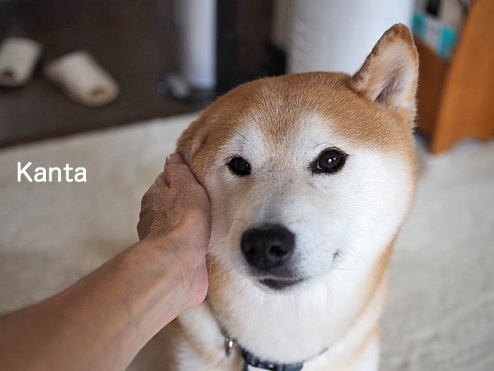 1日夜ブログ３