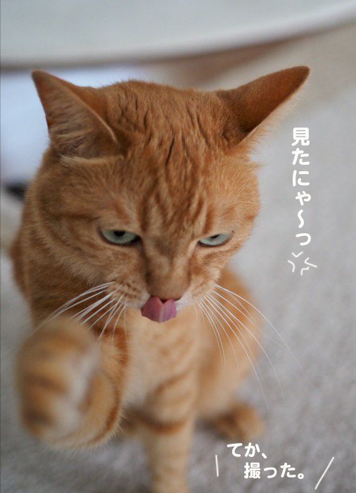 30日ブログ４