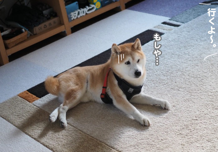 23日夕ブログ４