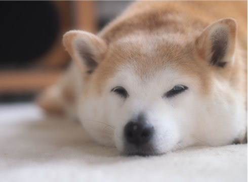 30日ブログ9.jpg