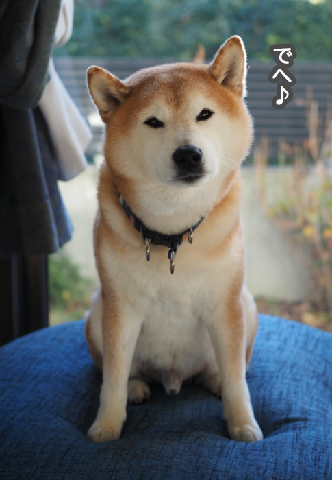 21日夜ブログ２