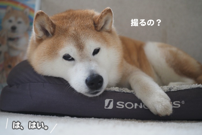 9日夕ブログ3