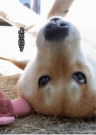 29日ブログ7.jpg