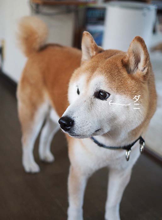 6日午後ブログ3