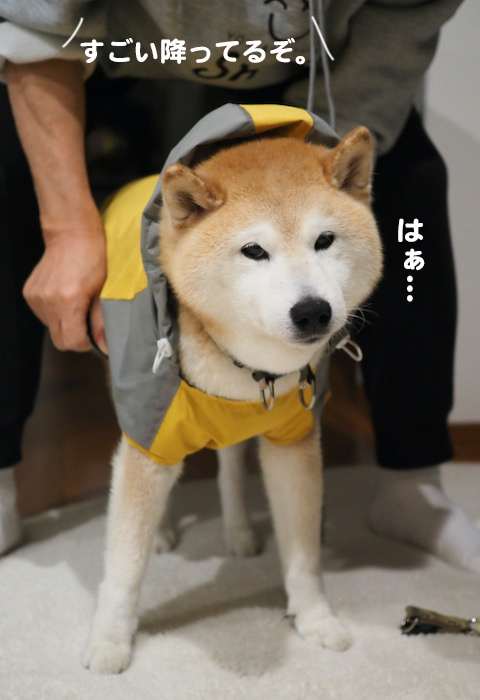 15日夕ブログ２