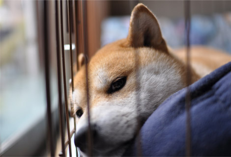 5日ブログ８.jpg