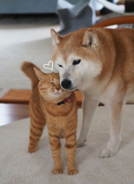 31日夕ブログ１４