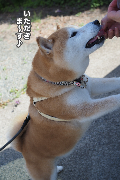 31日夕ブログ４