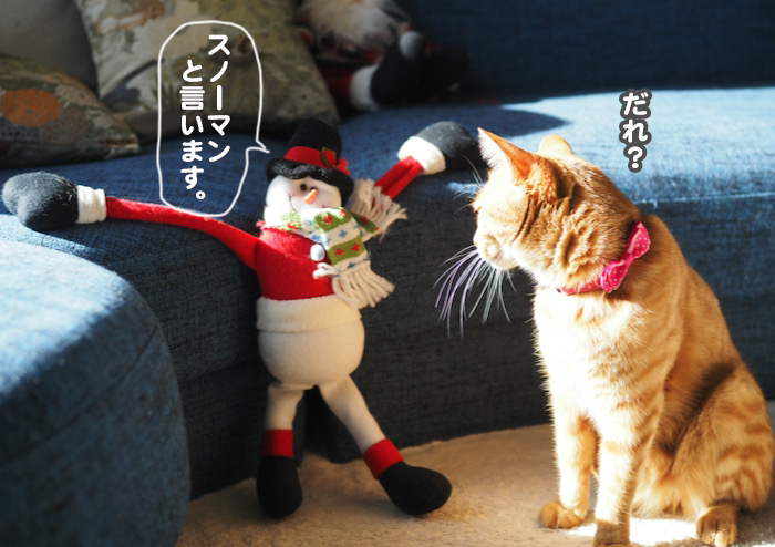 20日夜ブログ２