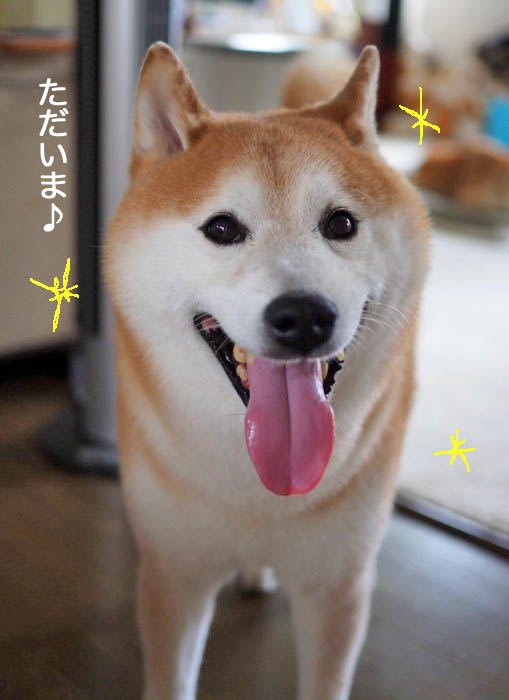 24日ブログ７
