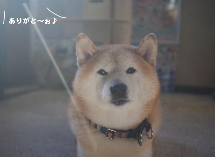 16日ブログ３